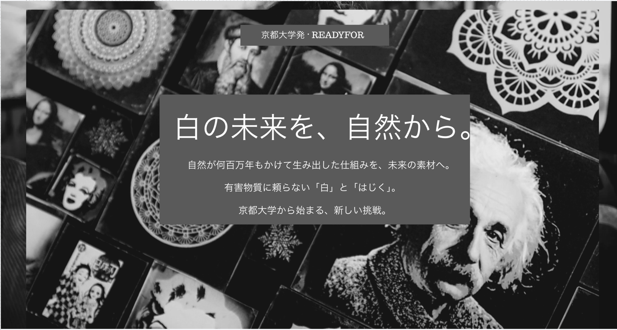 Pureosity READYFOR campaign visual: From nature’s white to future materials, a new challenge from Kyoto University.